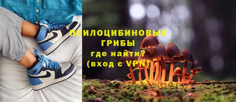 Галлюциногенные грибы Psilocybe  MEGA рабочий сайт  Кулебаки 